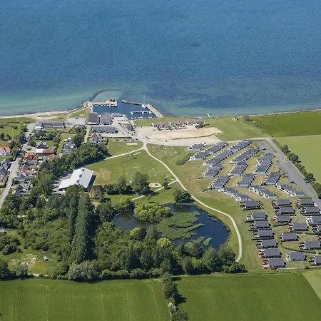Sohus * Tranekær